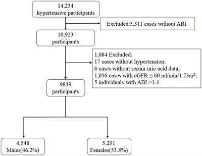 Association between serum uric acid levels and peripheral artery disease in Chinese adults with hypertension